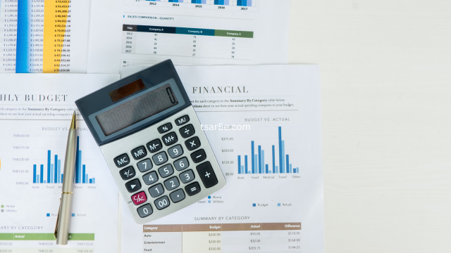 Contoh Laporan Keuangan Pemasukan dan Pengeluaran Excel